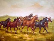 Horses 013